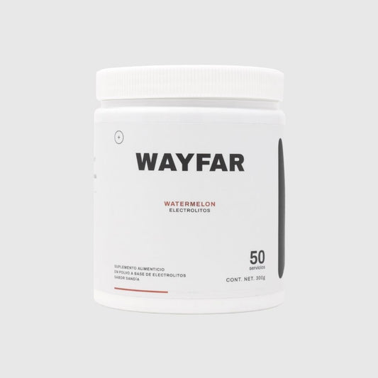 Wayfar Electrolitos 300g